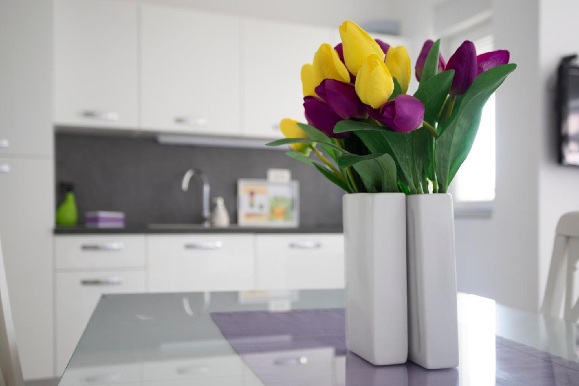 Atena Zaton B Apartment *